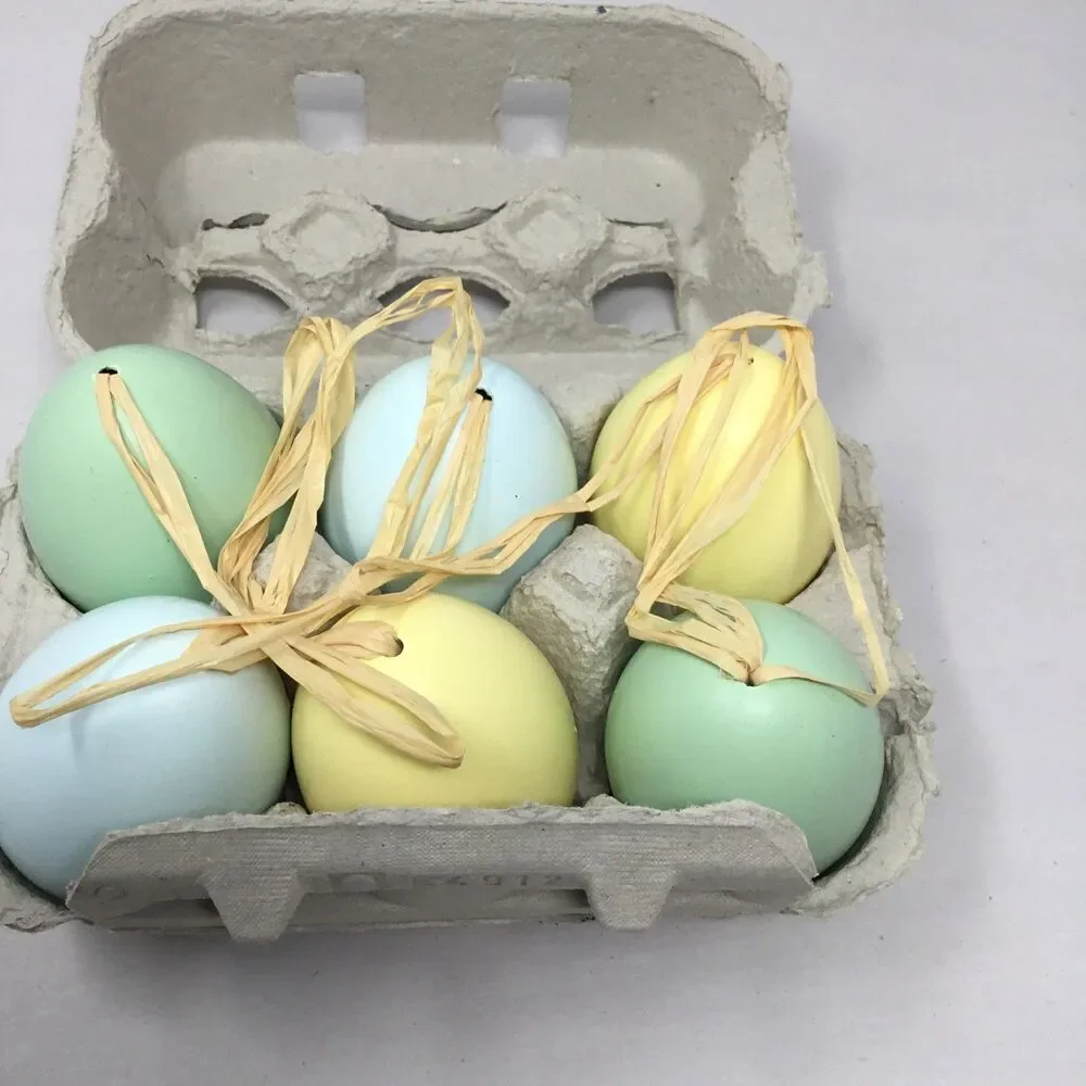 Set of 6 Williams Sonoma Real Eggshell Handblown & Dipped Easter Egg Ornaments